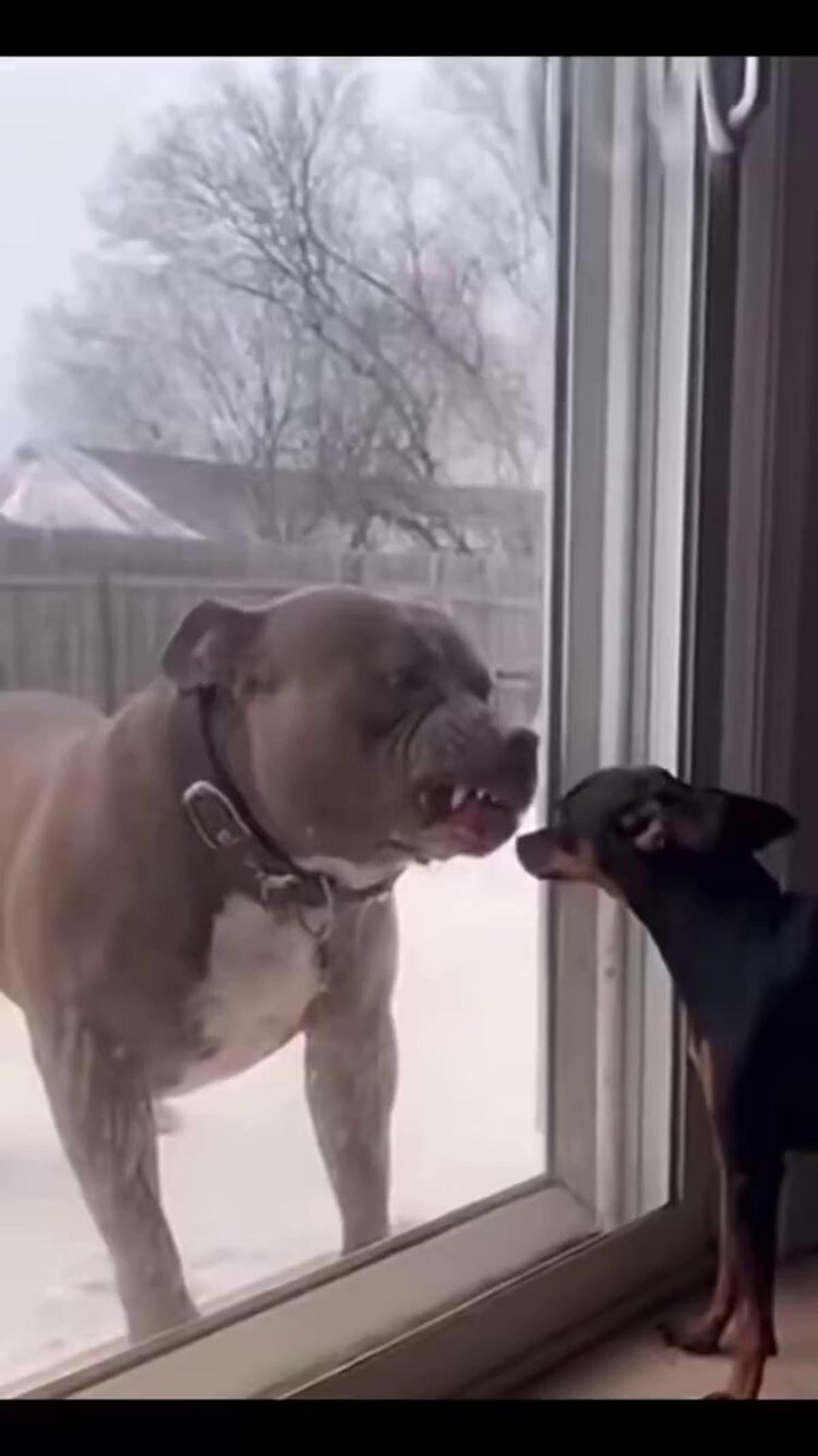 Startups Now Dictate the Standards for Incumbents