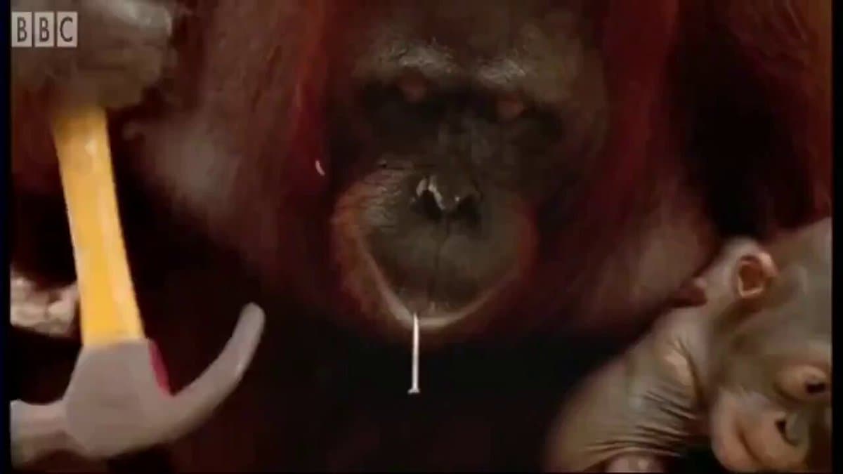 Hire Top Talent, Scale From 7 to 9 Figures