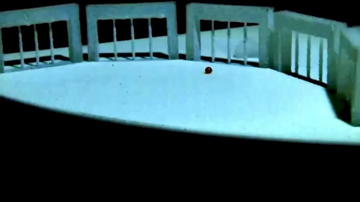 Liquid Robots Redefine Control Without Fixed Form