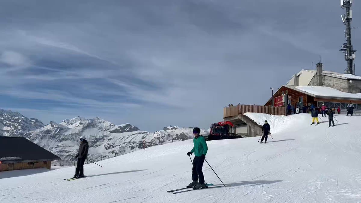 Elite Leaders Prove Focus, Long Hours Drive Success