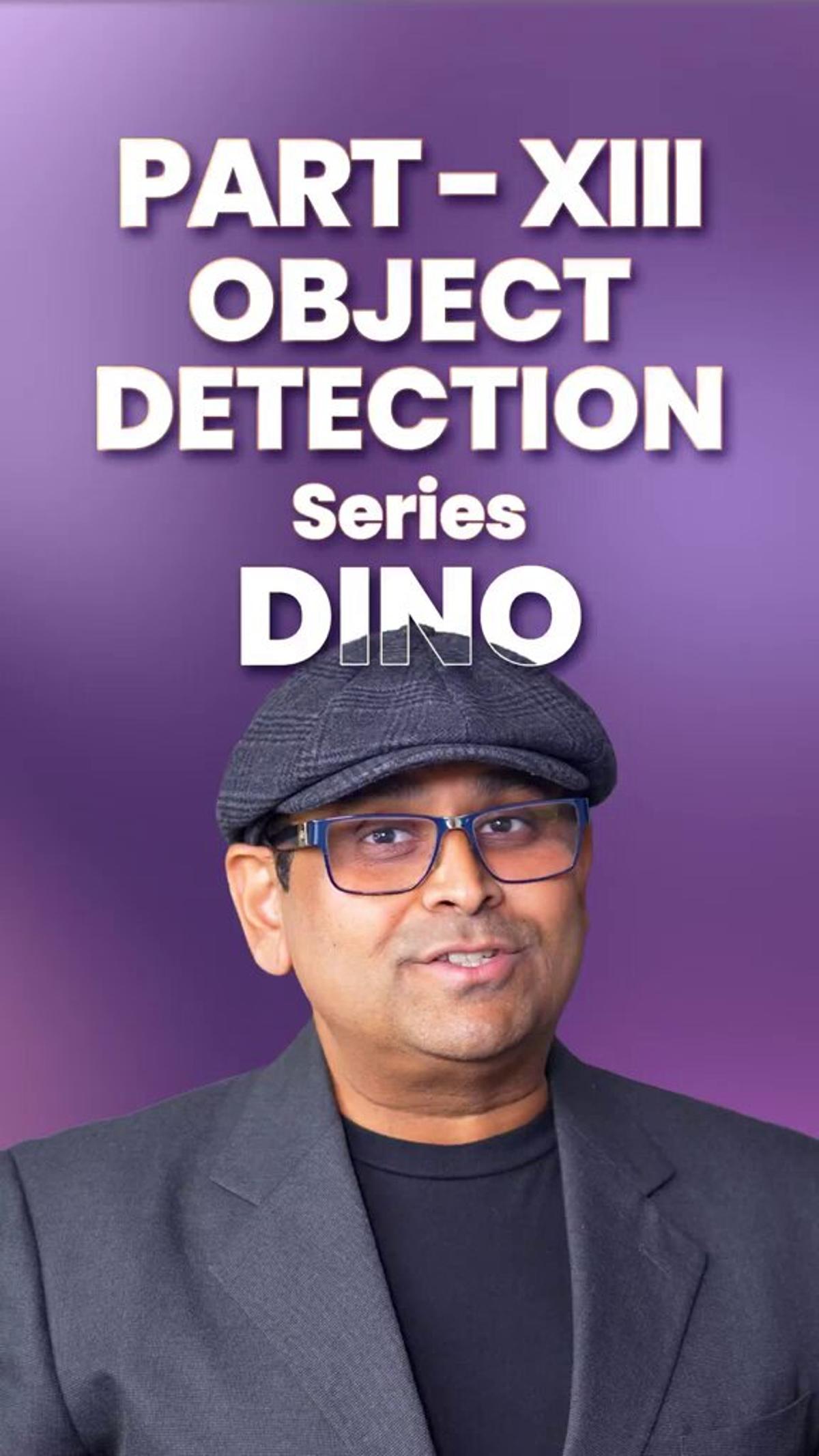 DINO Accelerates Transformer Detector Training to SOTA Speed