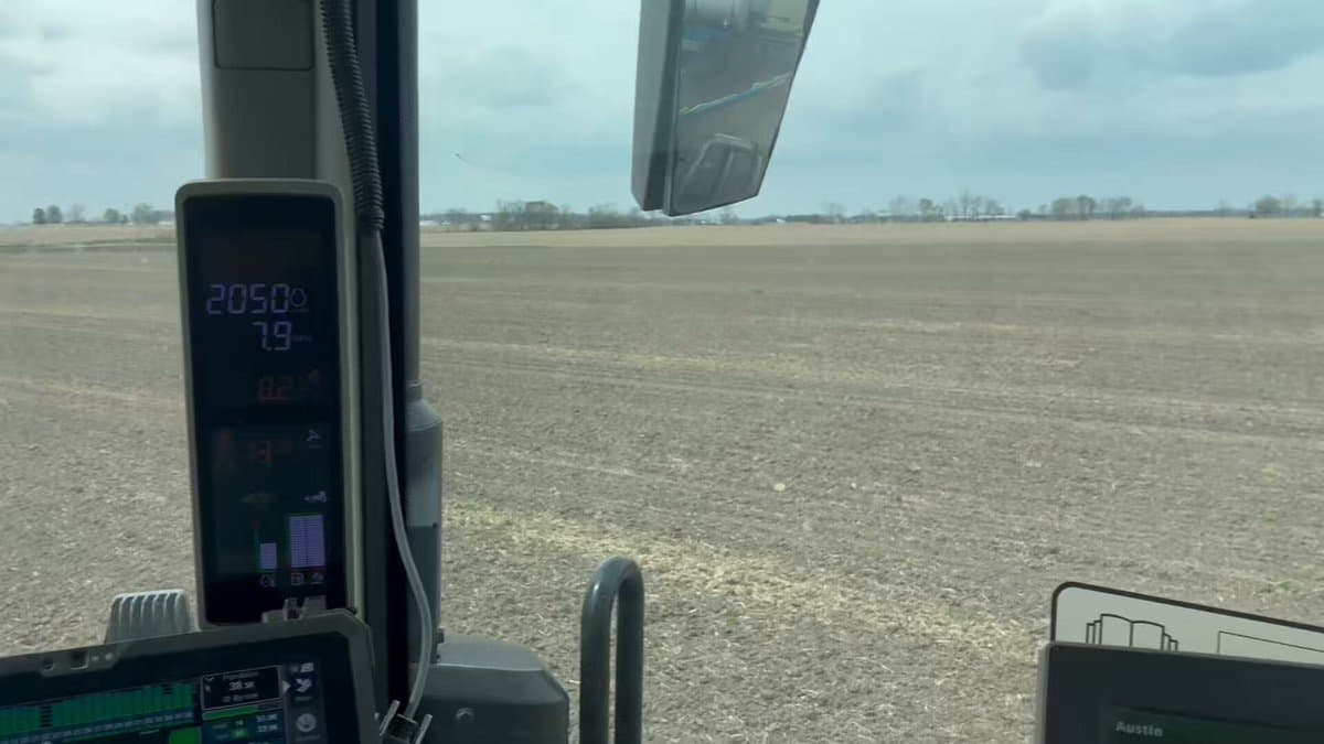 Relay Cropping Boosts Corn Yield and Soil Health