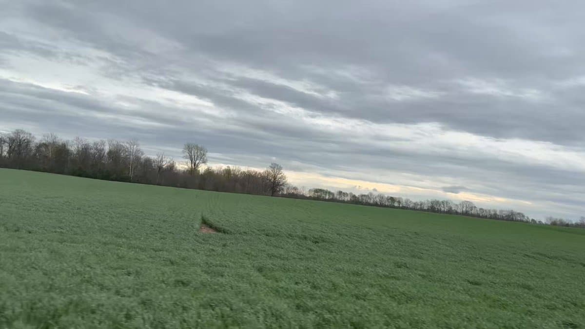 Minimal N+S Boosts Wheat Yield via Residue Cycling