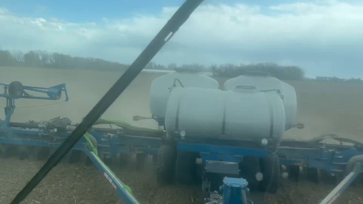 Wider Rows and Adjusted Spacing Overcome Late Sidedress Limits