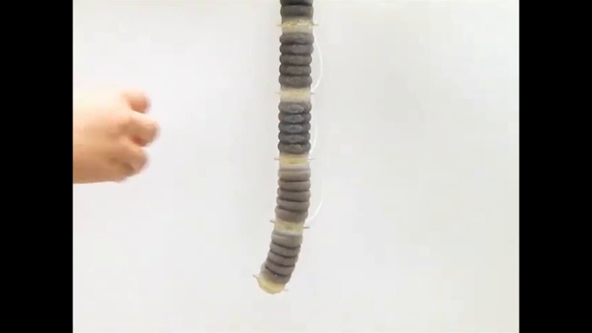 Graduate-Student Duo Unveils Fascinating Tentacle Robot