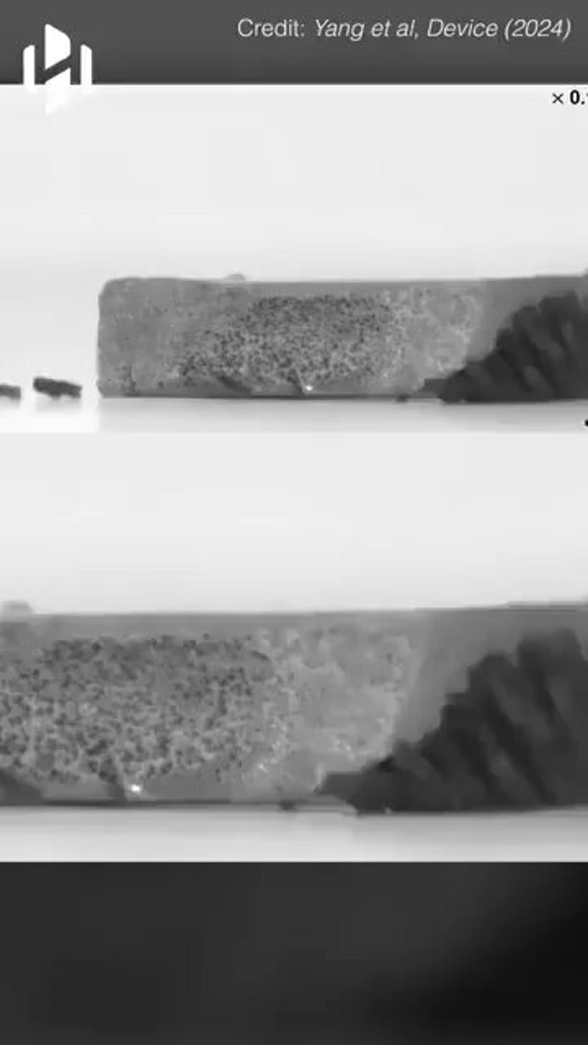 Tiny Robots, Huge Impact: Swarm Technology's Future