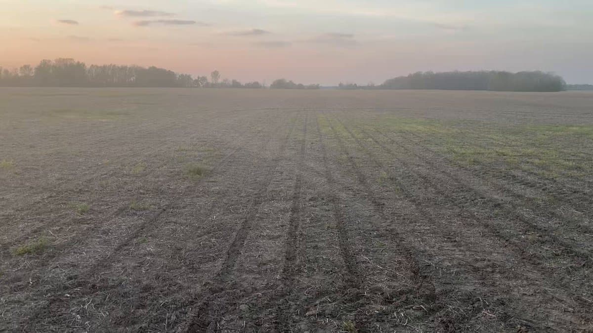 Stale Seedbeds Retain Moisture, Boost Early Corn Planting