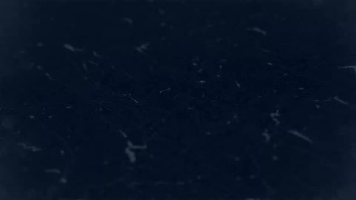 Ukrainian UAS Destroys Russian Mobile Air Defenses in Donetsk