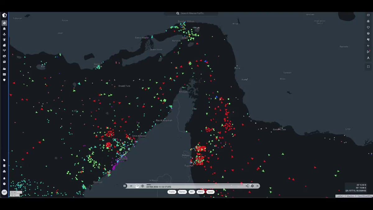 Strait of Hormuz Traffic Vanished After War Began