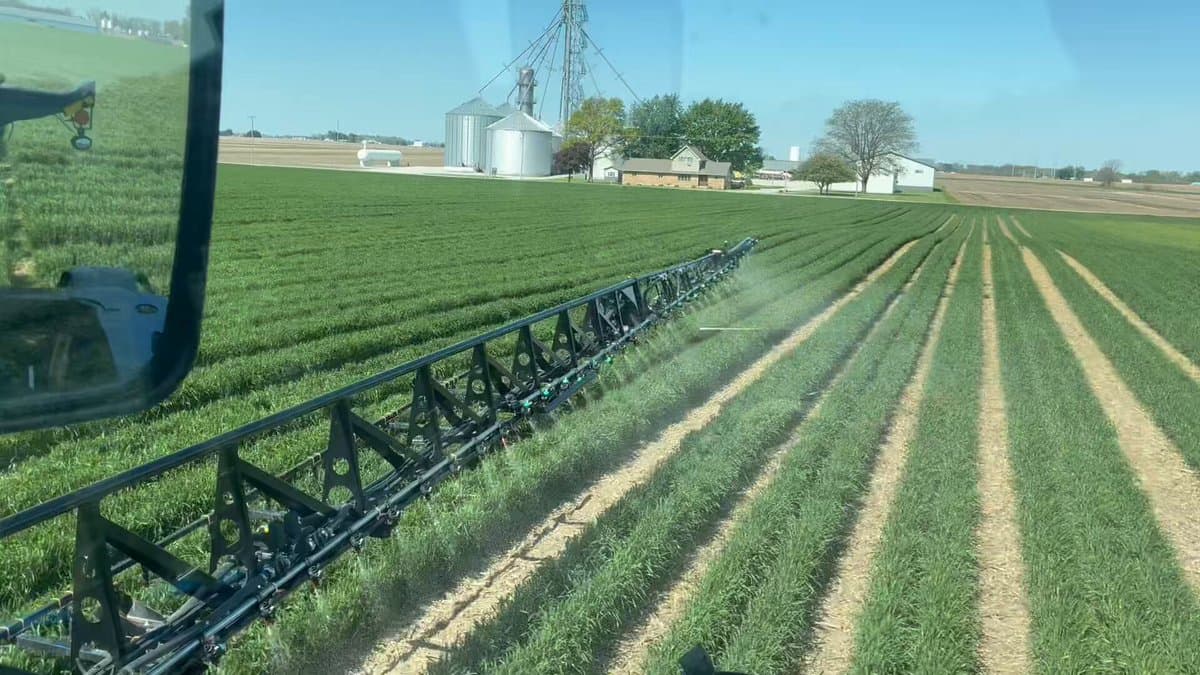 Efficient Nitrogen Strategy Boosts Wheat with Recycled Residue