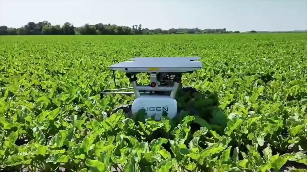 Solar AI Robots Offer Practical, Herbicide‑Free Weed Control