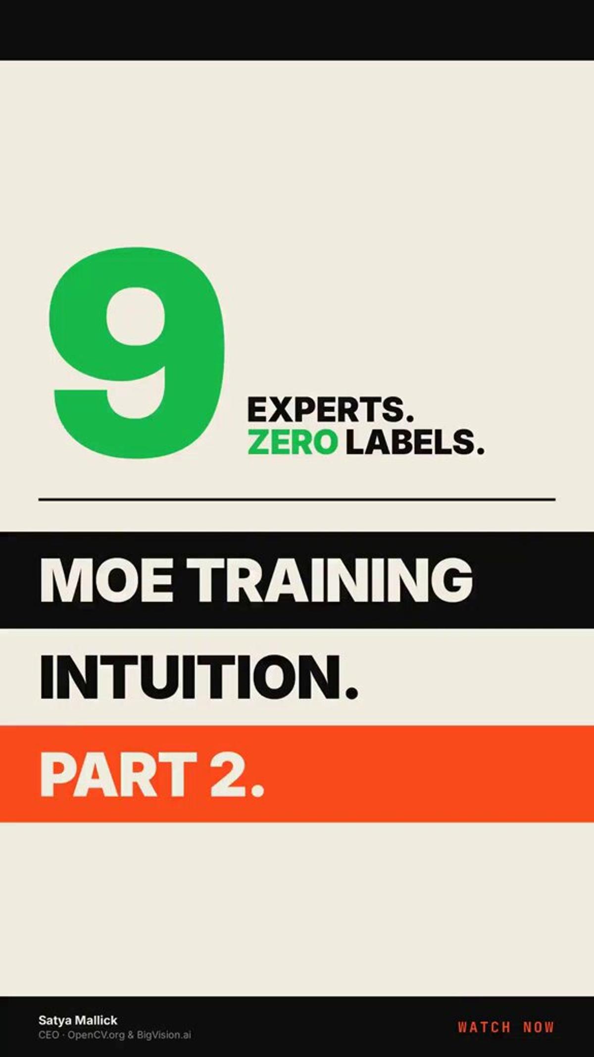 MoE Training Amplifies Tiny Expertise Into Mastery
