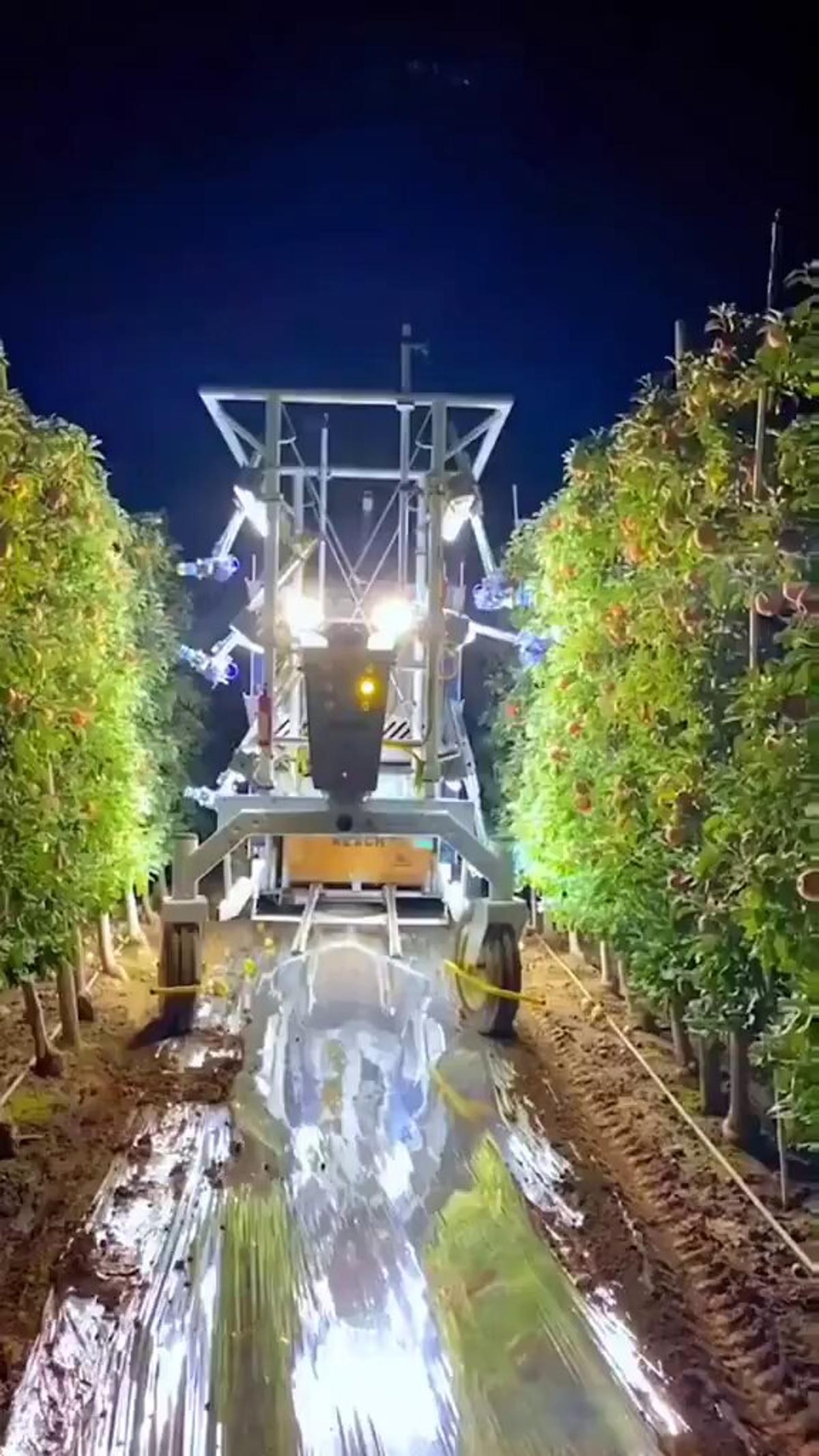 AI and Robotics Revolutionize Apple Harvesting