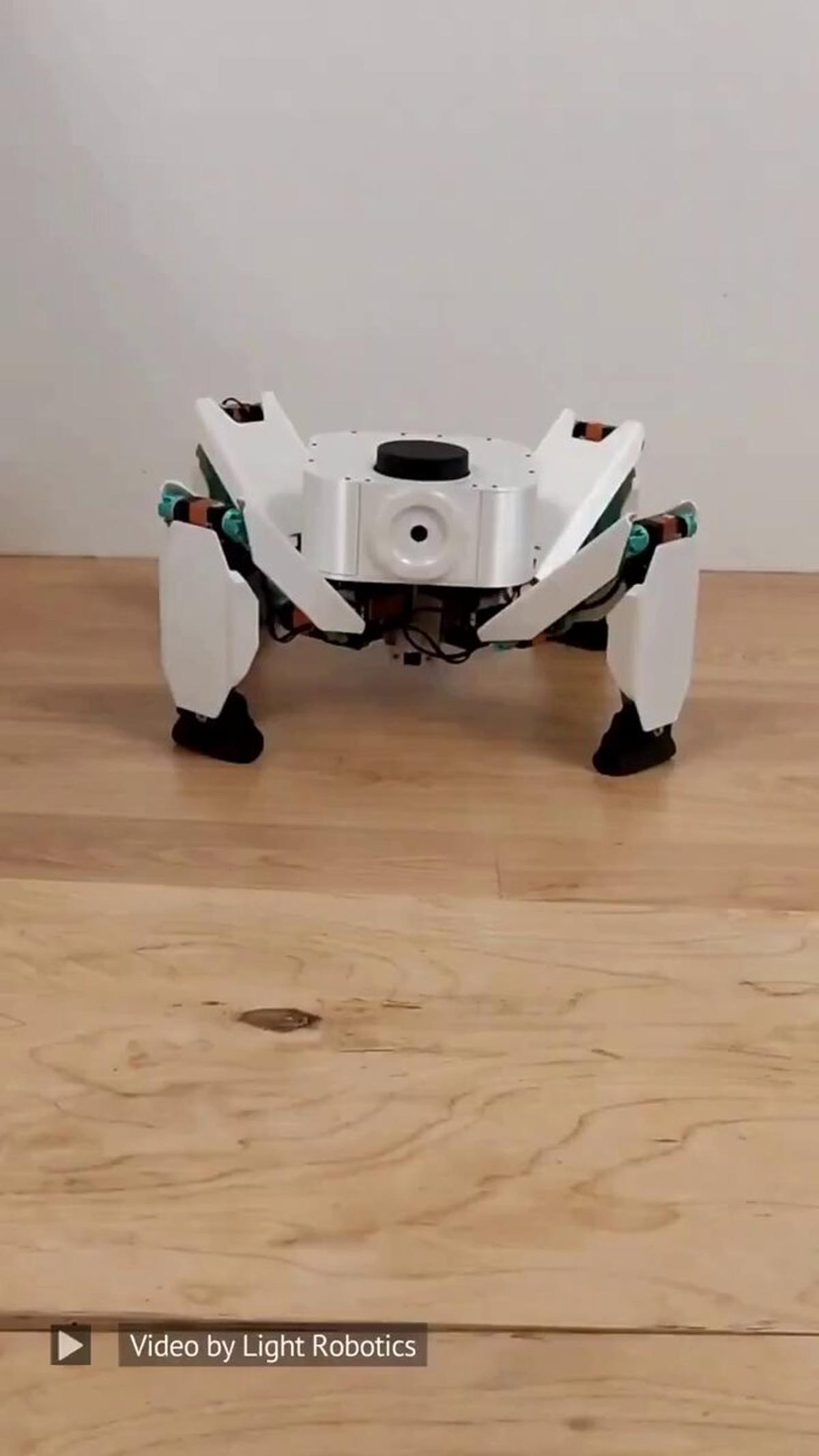 LiDAR Robot Maps Environment and Conquers Obstacles