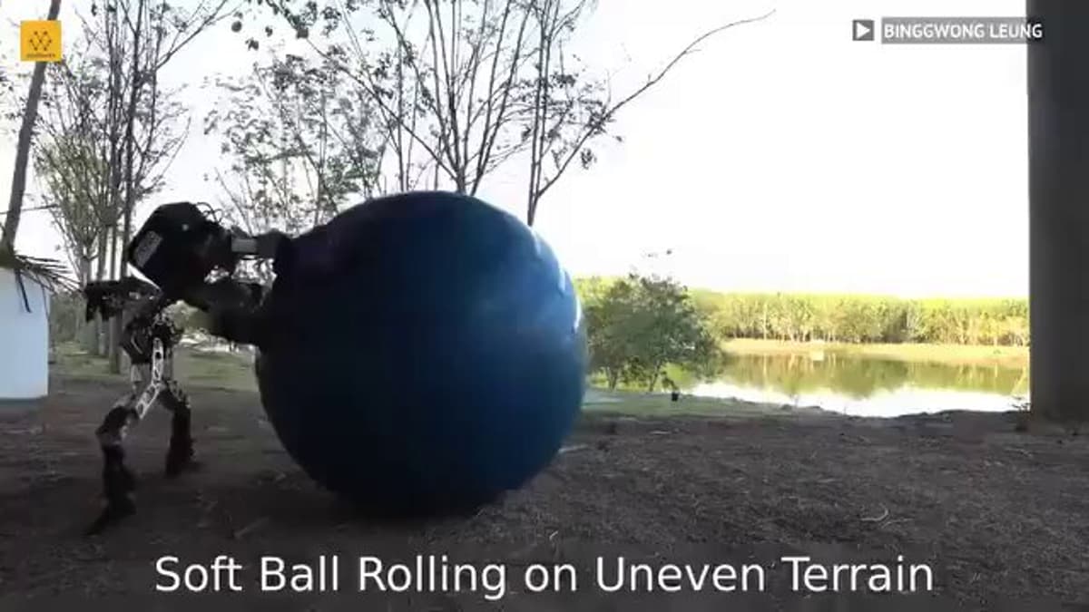 Dung Beetle‑Inspired Robots Achieve Advanced Multitasking