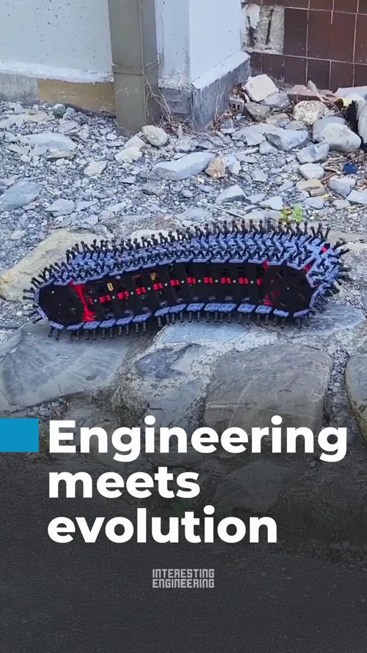 Spiky Caterpillar Robot Tackles Ultra‑Tight Spaces