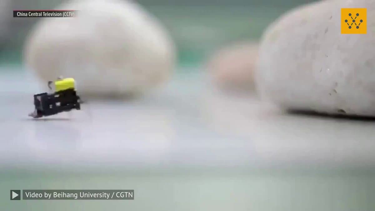 Beihang Unveils 2 Cm Microbot Achieving Ultrafast Untethered Speed