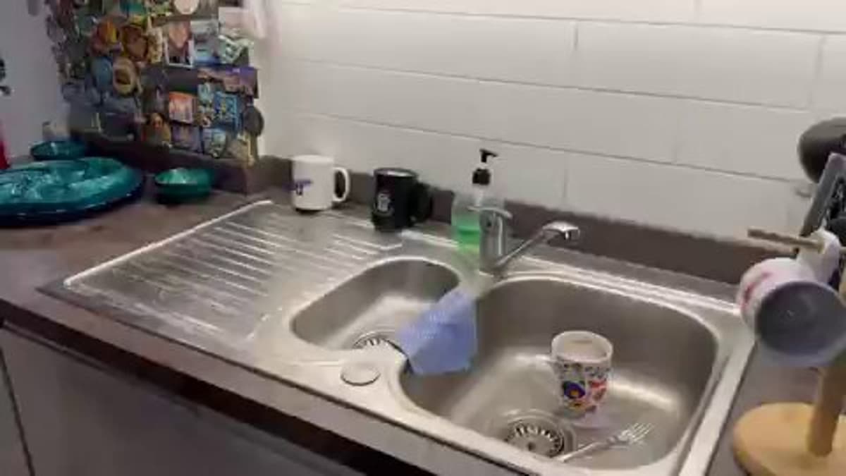 Robot Masters 1,000 Tasks After <24‑hour Demos