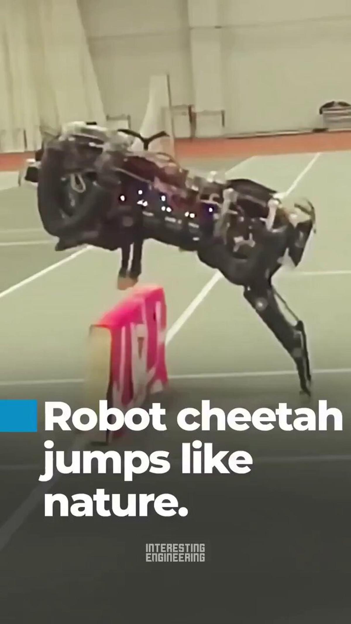MIT Cheetah Sets New Standard for Agile Robotics