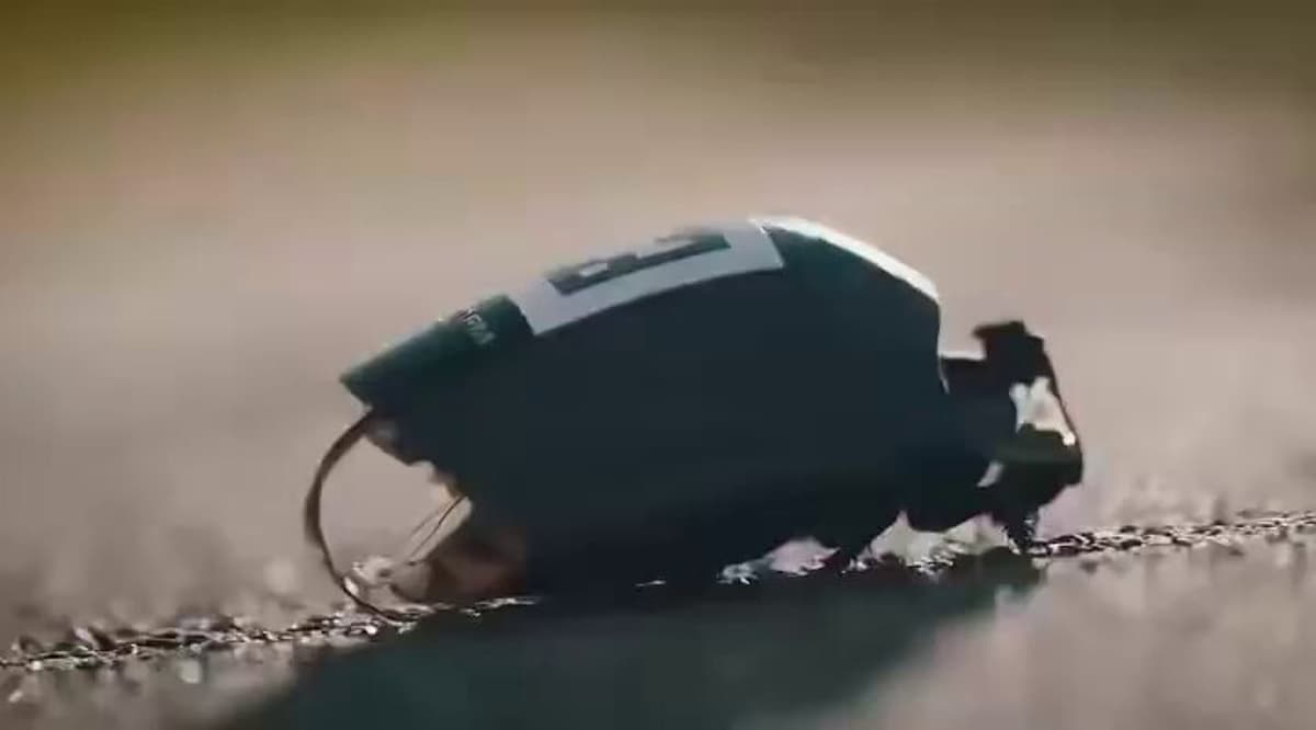 Bio‑Robotic Cockroach Swarms Boost Search‑and‑Rescue