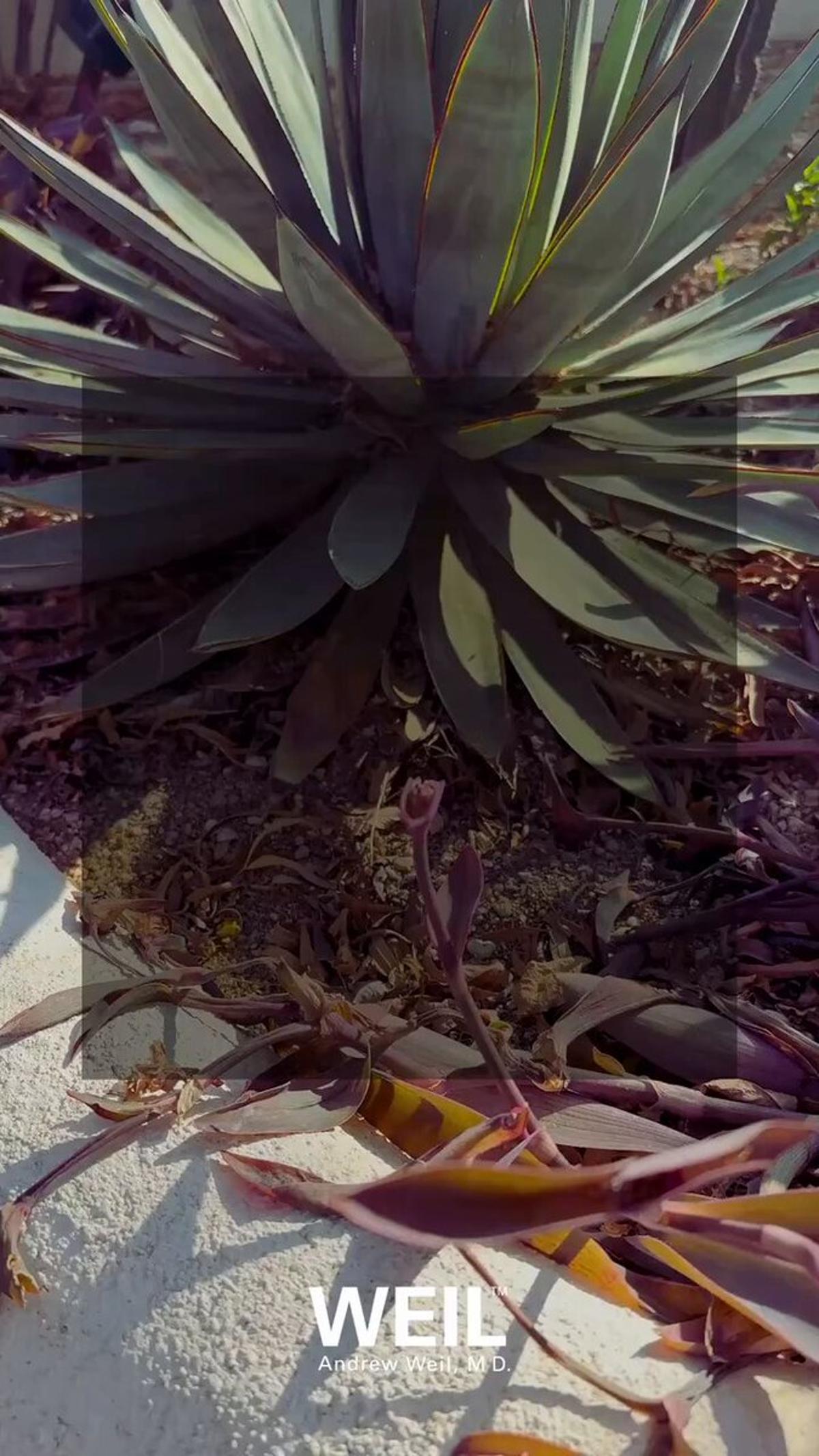 Support Health Naturally: Slow Down, Nourish, Rest