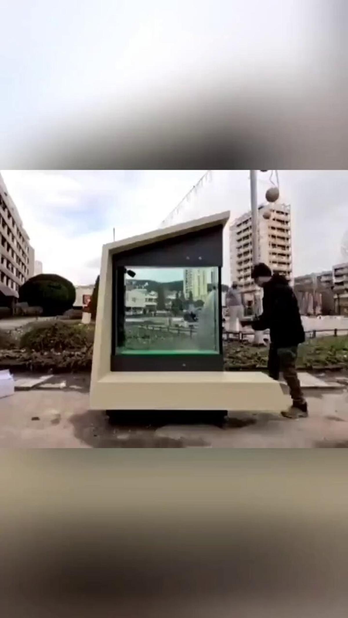 Scientists Build Living Tree Powered by Algae and Sunlight