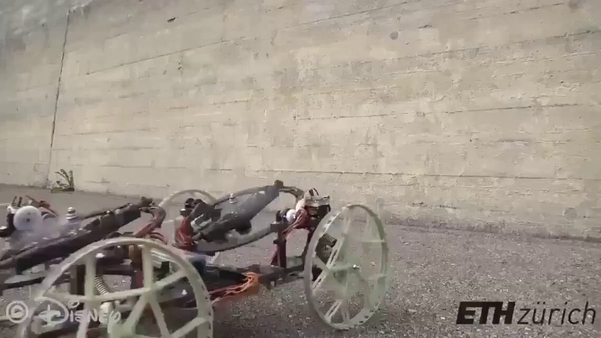 VertiGo Robot Scales Walls Using Lizard‑Inspired Grip