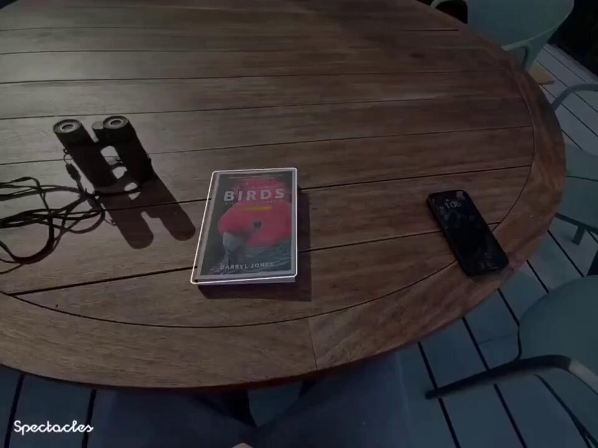 AR App Enables Real-Time Conversations with Books