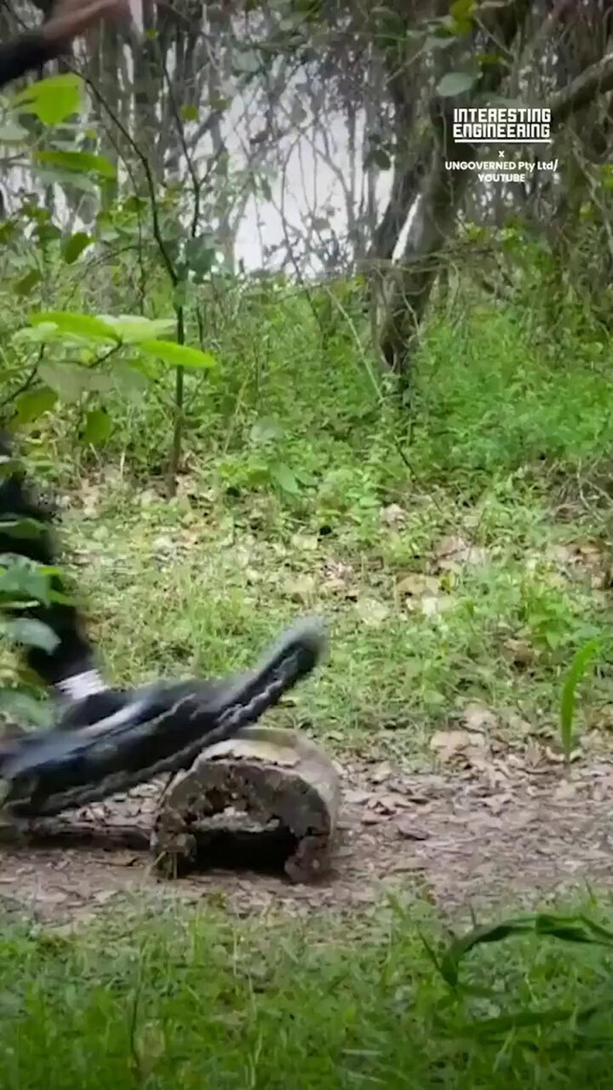 Electric Off‑Road Skateboard Redefines All‑Terrain Riding