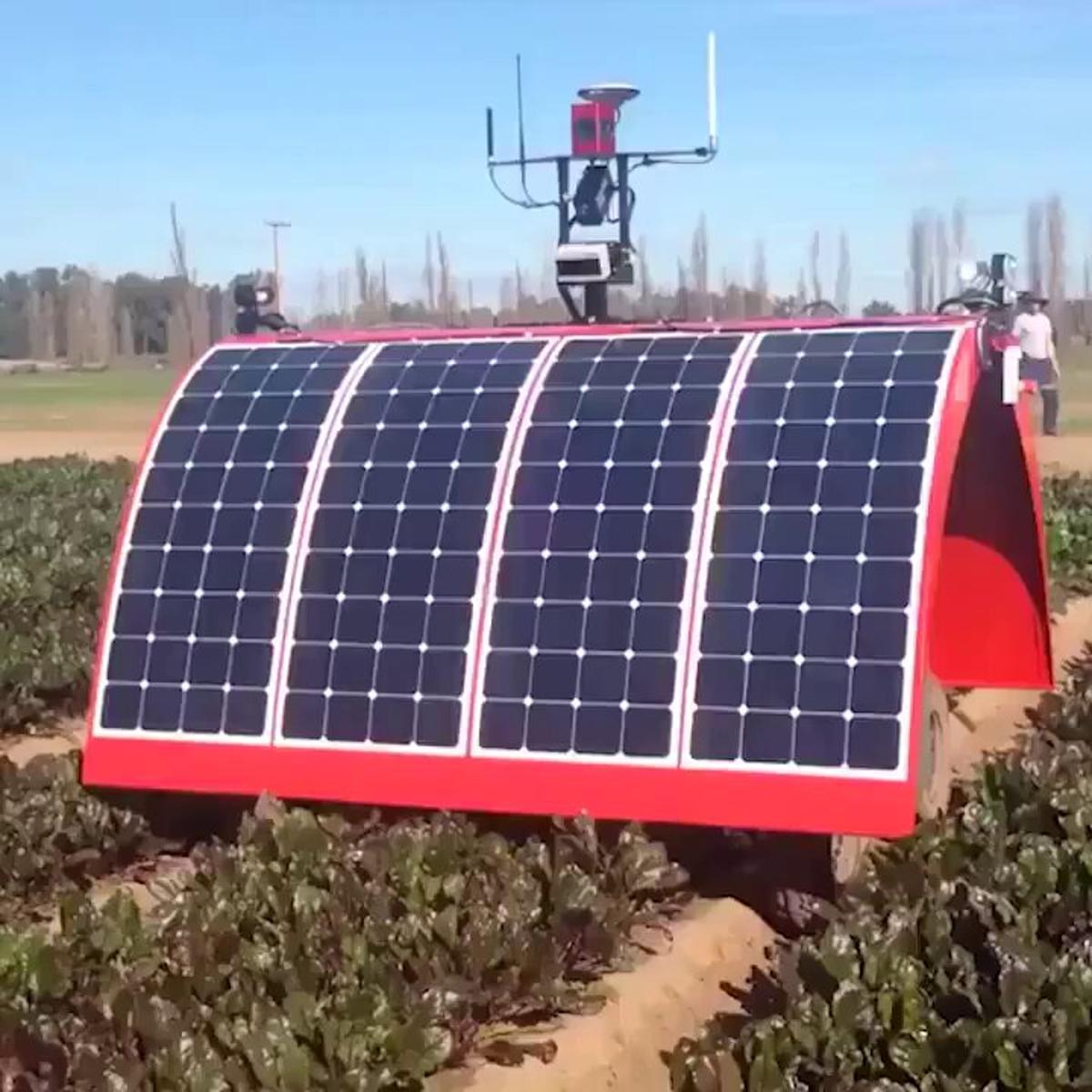 Solar FarmBot Automates Gardening with Zero Effort