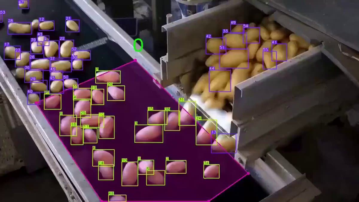 AI Counts Potatoes Instantly with Minimal Training