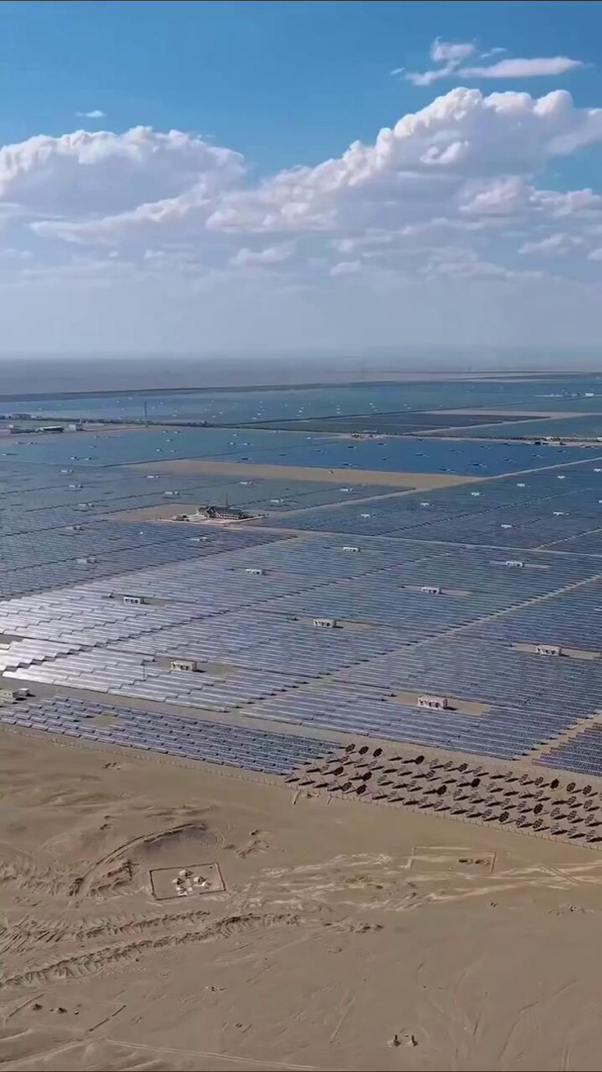 Gobi Solar Farm Catalyzes Emerging Desert Ecosystem