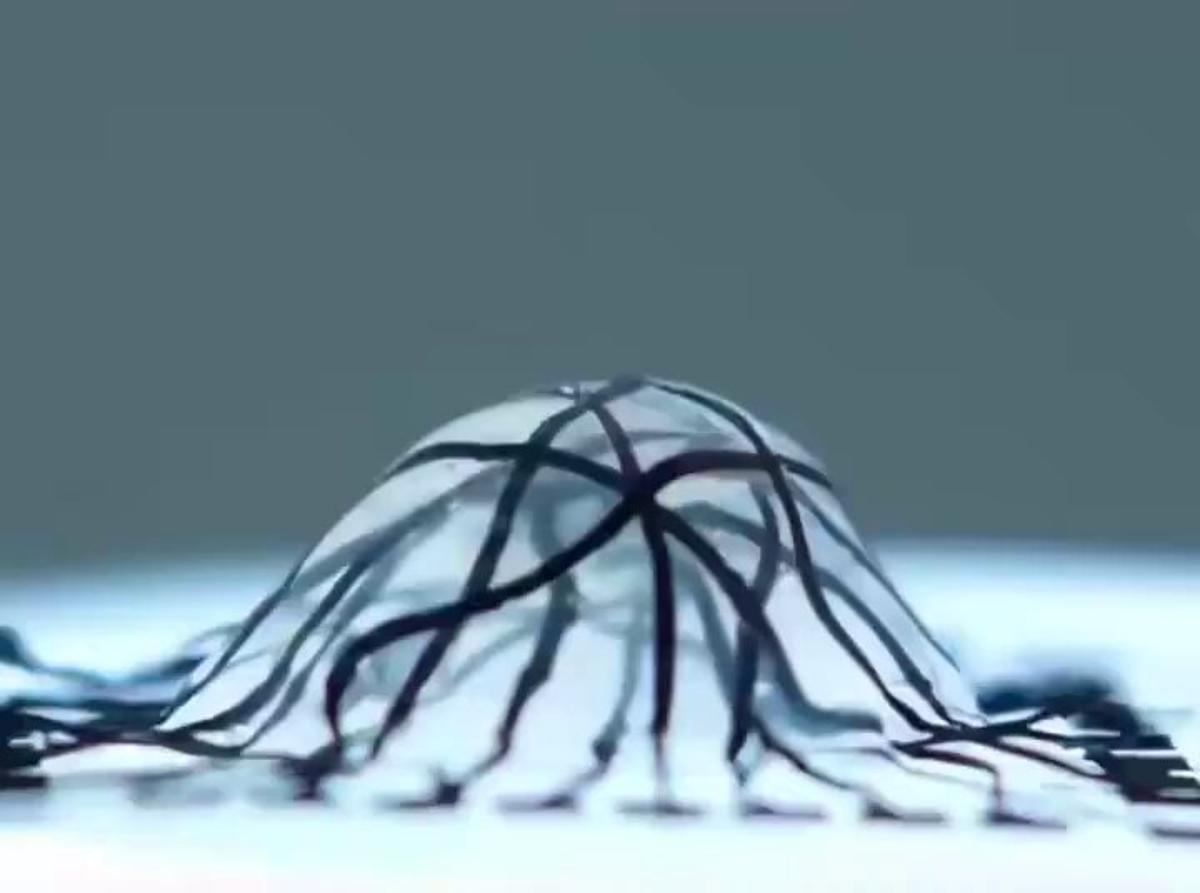 First Soft 3D Hydrogel Semiconductor Replicates Living Tissue