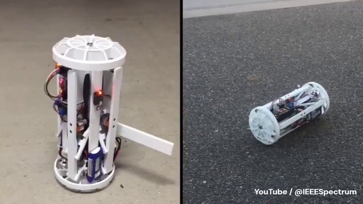 Shape‑shifting Drone Conquers Both Land and Sky