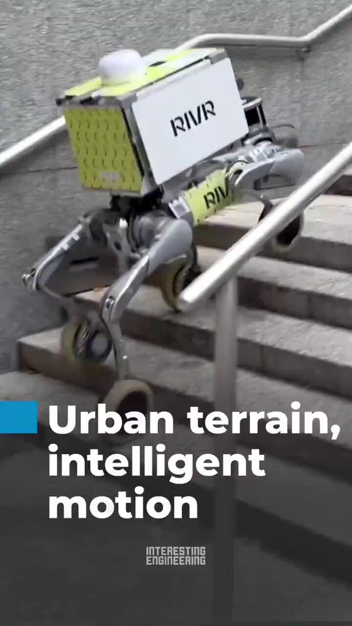 Wheel‑Leg Robot Uses Vision and LiDAR for Delivery