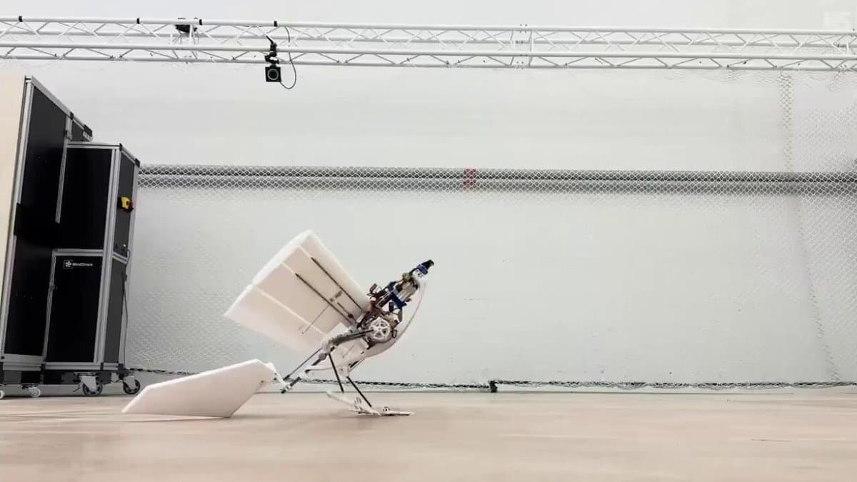 Bird-Inspired Robot Achieves Advanced Aerial Mobility