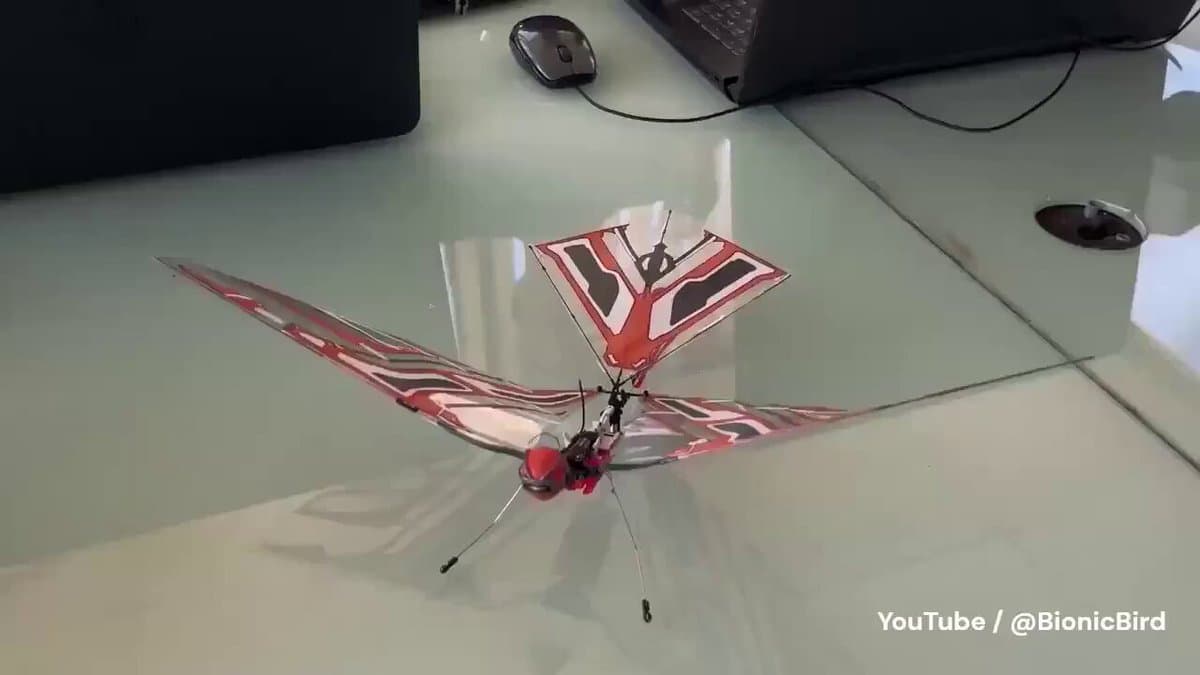 Bird-Inspired Control Tames Ornithopter Wing-Flap Chaos