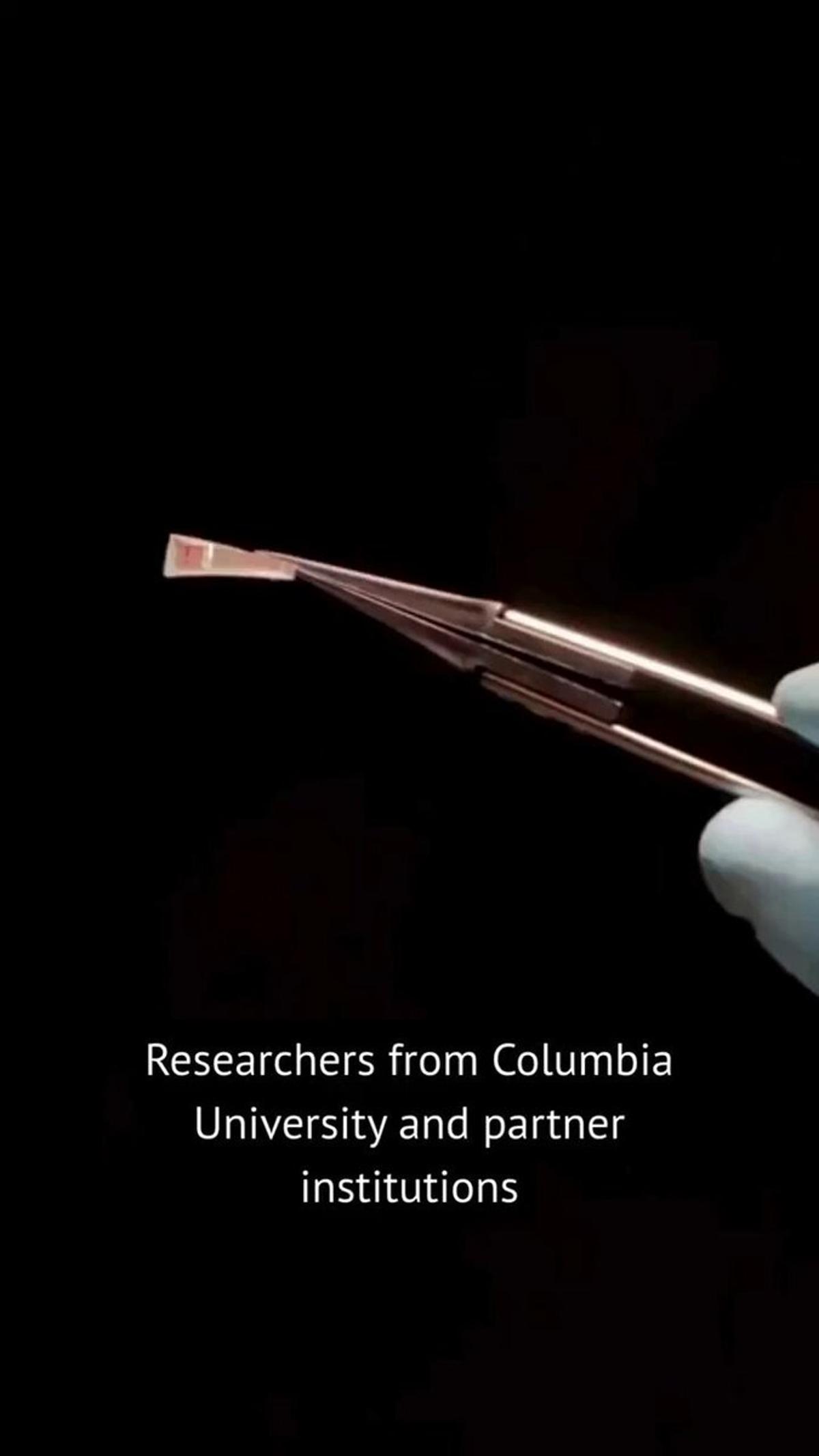 Tiny Chip Delivers High‑Bandwidth Wireless Brain Interface