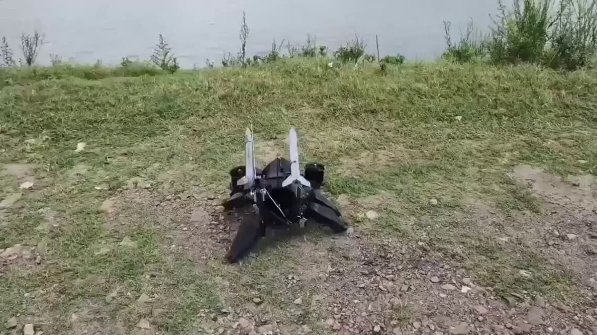 China’s Robot Turtle Achieves Seamless Air‑Water‑Land Mobility