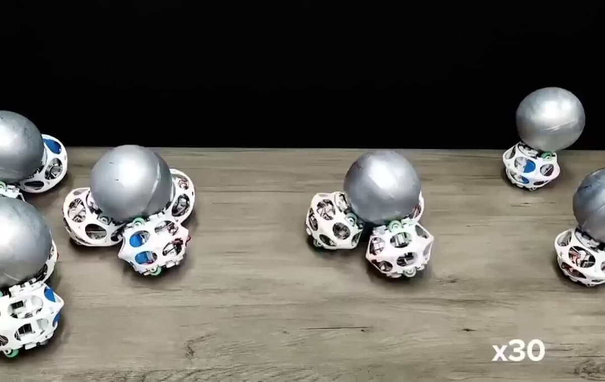 Bio‑inspired Robot Snails Use Suction to Build and Traverse