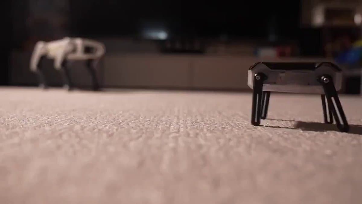 Pocket-Sized Quadruped Robot Packs Powerful Capabilities