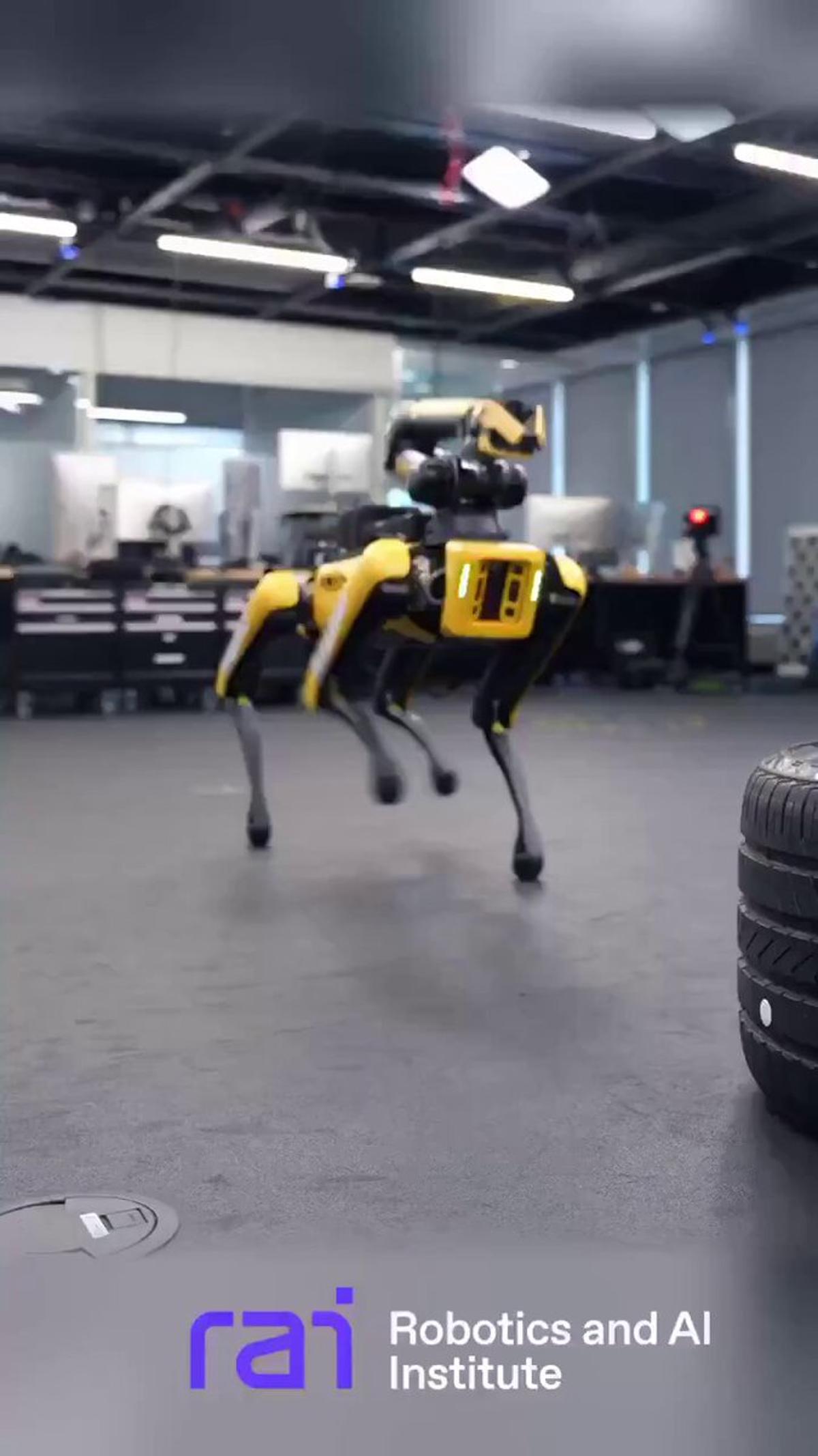 Spot Robot Uses AI for Precise Tire Manipulation