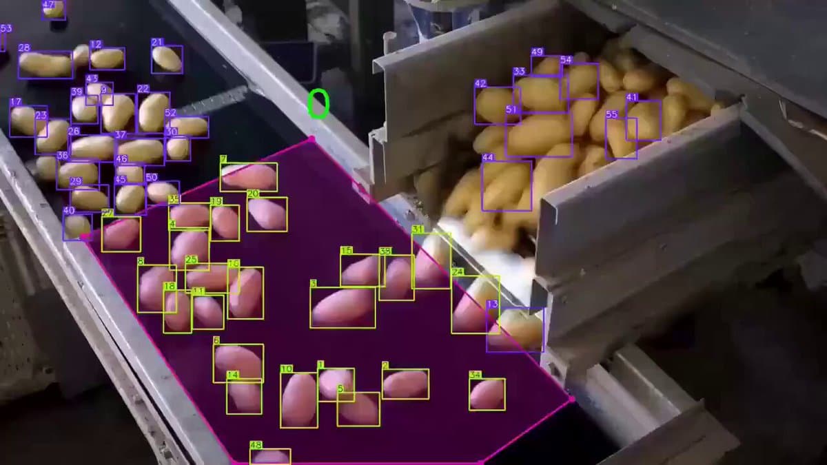 AI Counts Potatoes on Line with Minimal Training