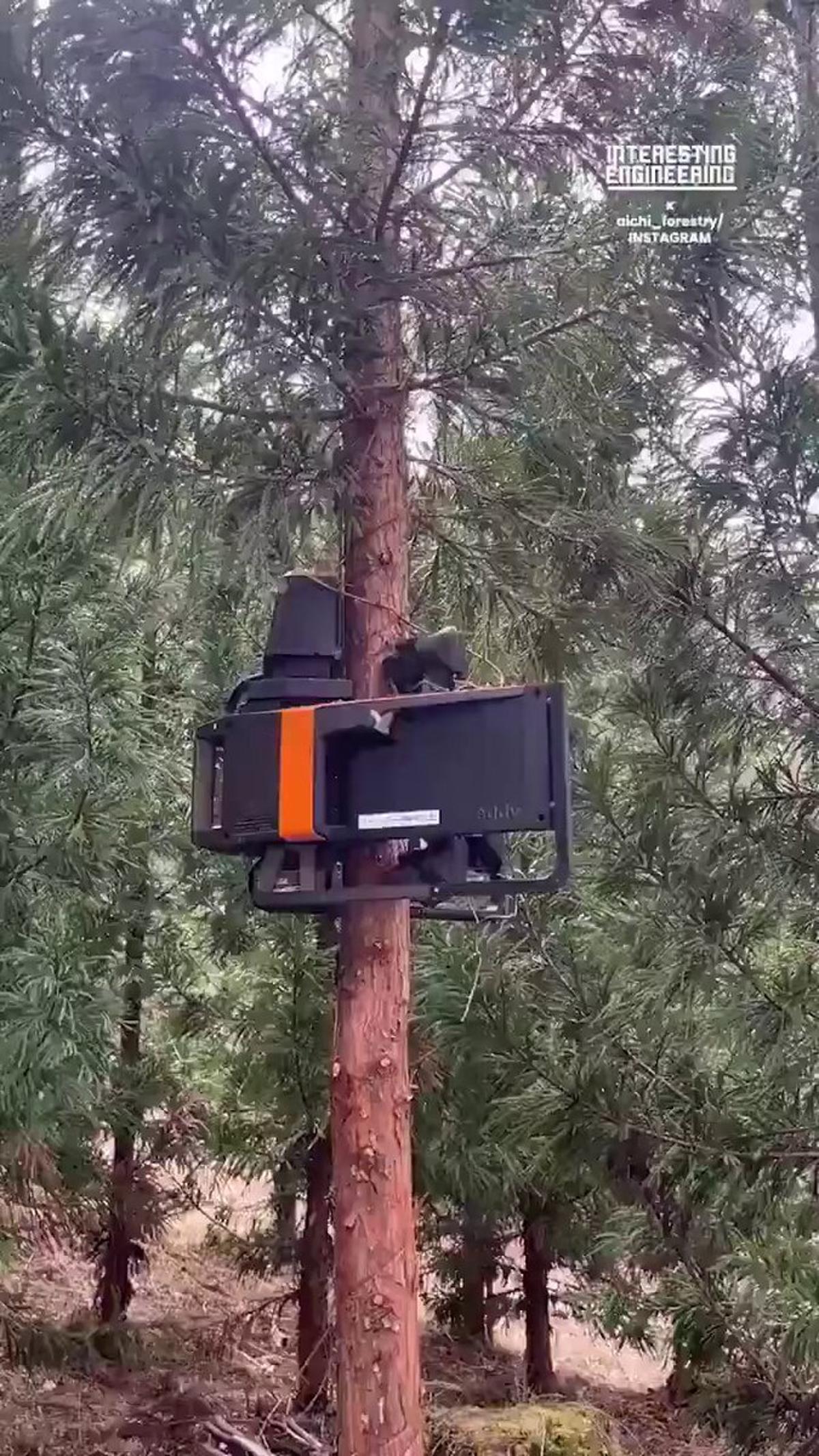 Tree‑Climbing Pruning Robot Outpaces Monkeys