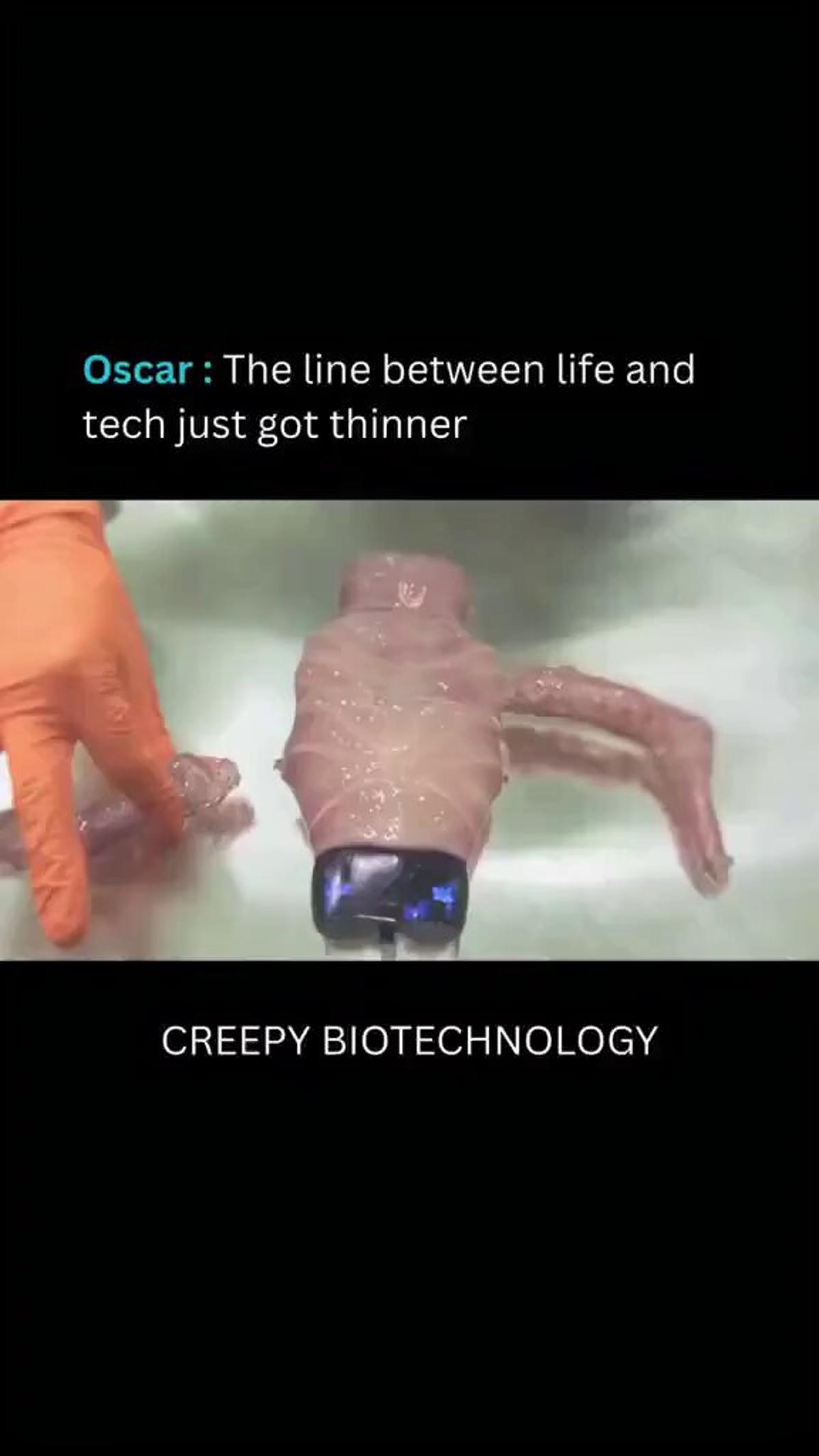 Living Robot Oscar Can Self‑heal