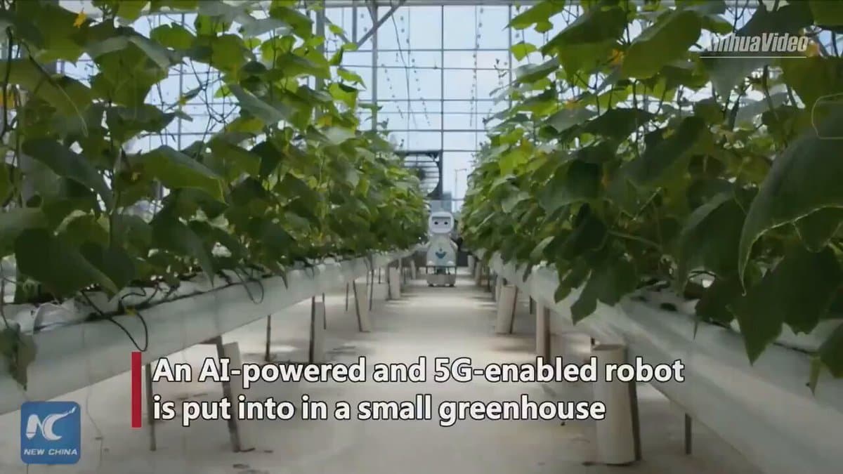 Robots Harvest Real‑Time Data for Smarter Farming