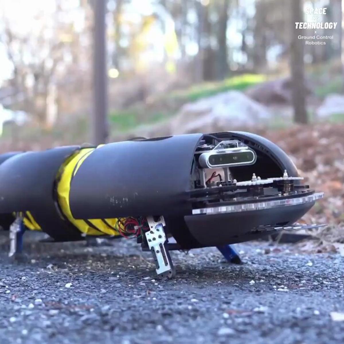 Centipede‑Inspired Robot Removes Weeds, Saves Crops