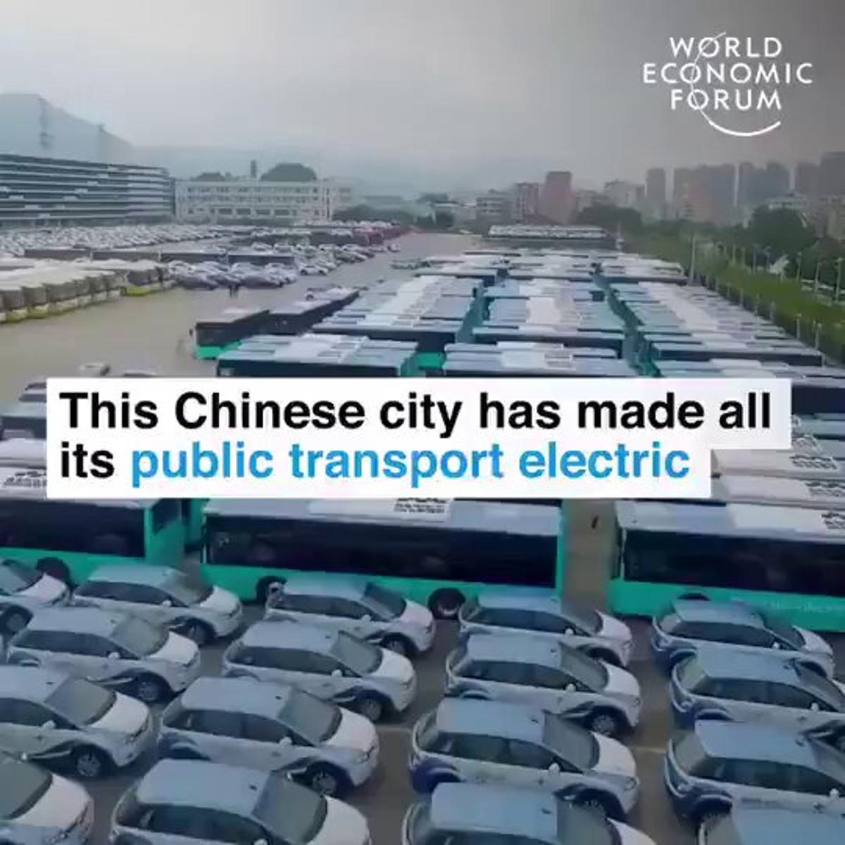 Shenzhen Becomes First City with Fully Electric Public Transport