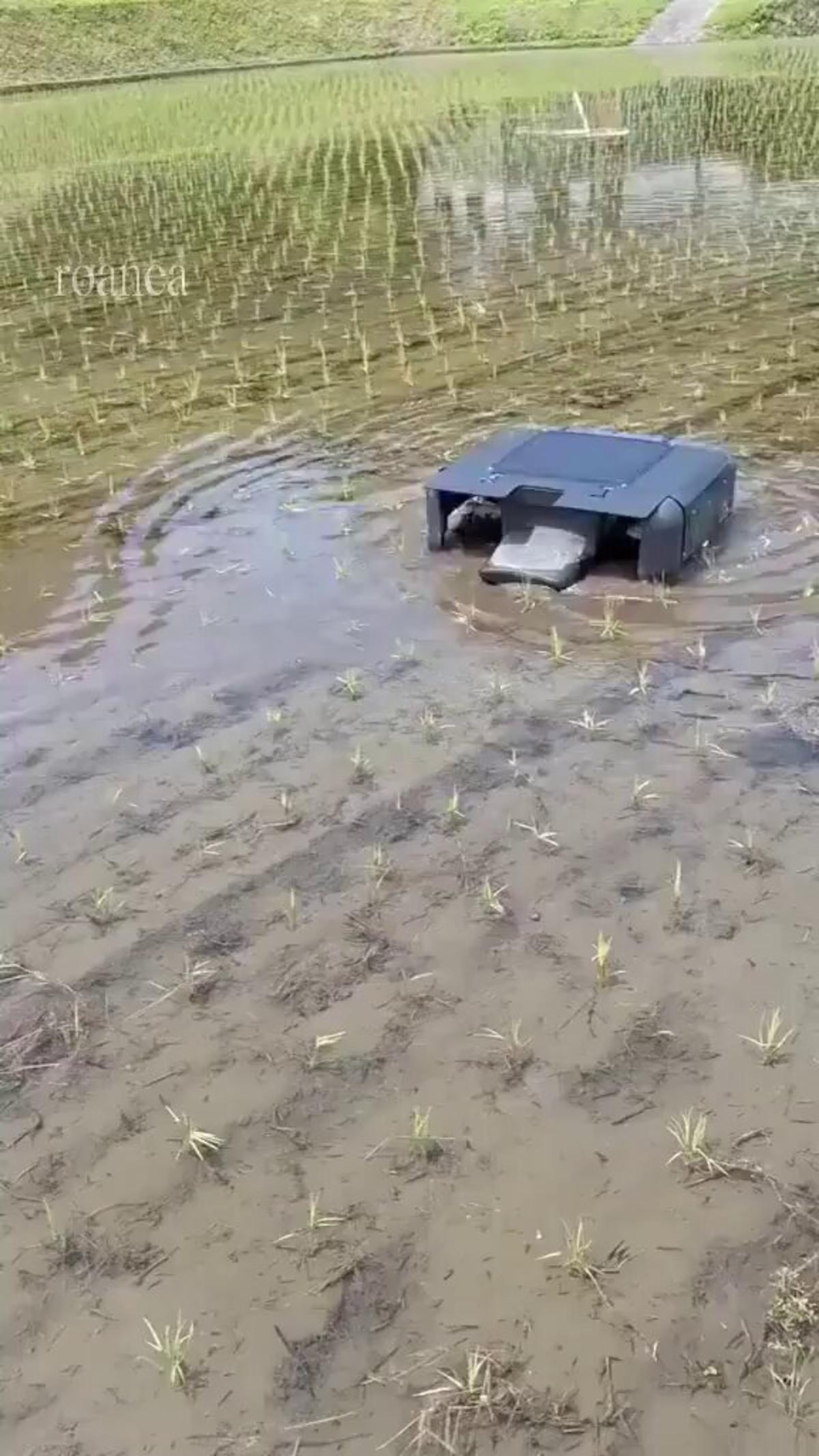 Solar-Powered Robot Battles Weeds in Japanese Rice Fields