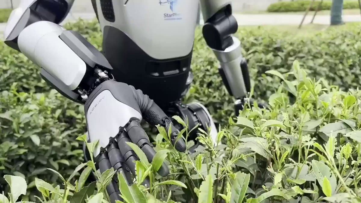 Humanoid Robot Masters Longjing Tea Harvest at Expo